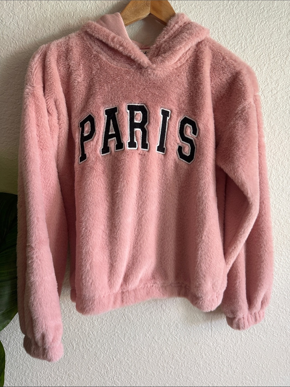 Derek Heart Dusty Pink Plush Hoodie